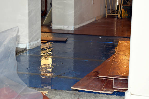 Professional Basement Flood Cleanup technician working in Allendale, MI