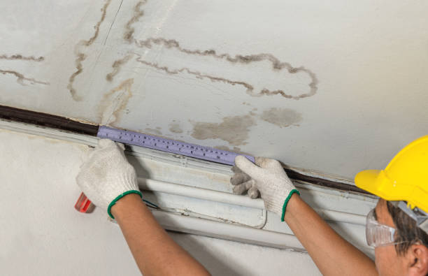 Reliable Basement Flood Cleanup contractor in Allendale, MI by Aqua Guard Water Damage